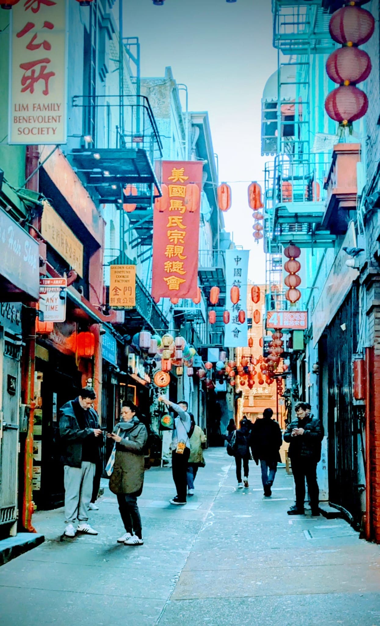 Chinatown Lantern Alley - Miju